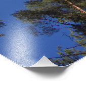 松の木CC0278写真プリント(27インチ、68cm) フォトプリント (角)