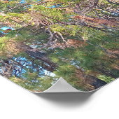 松の松の木のポスター ポスター (角)