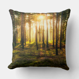 松の林に日が照る クッション