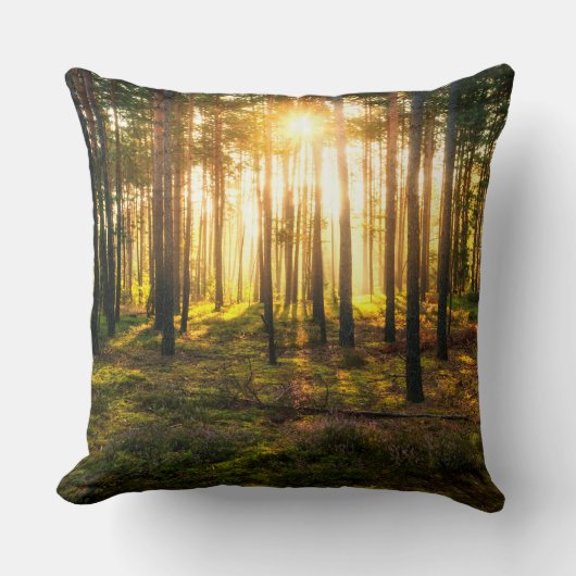 松の林に日が照る クッション (正面)