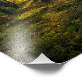 松の林に日が照る フォトプリント            (角)