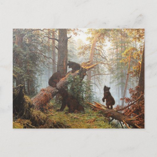 松の林の中の朝 ポストカード (正面)