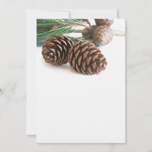 松の枝と円錐 (正面)