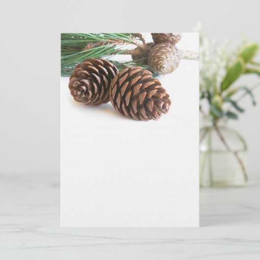 松の枝と円錐 (スタンド正面)