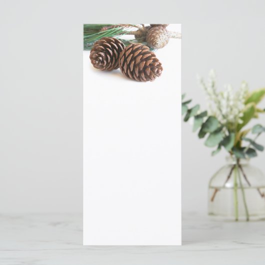 松の枝と円錐 (スタンド正面)