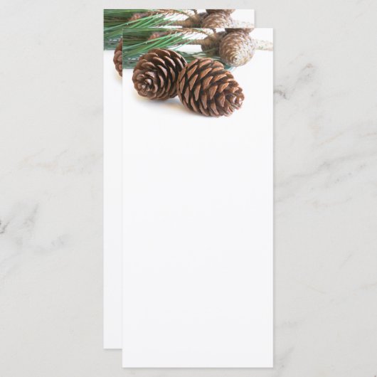 松の枝と円錐 (正面/裏面)