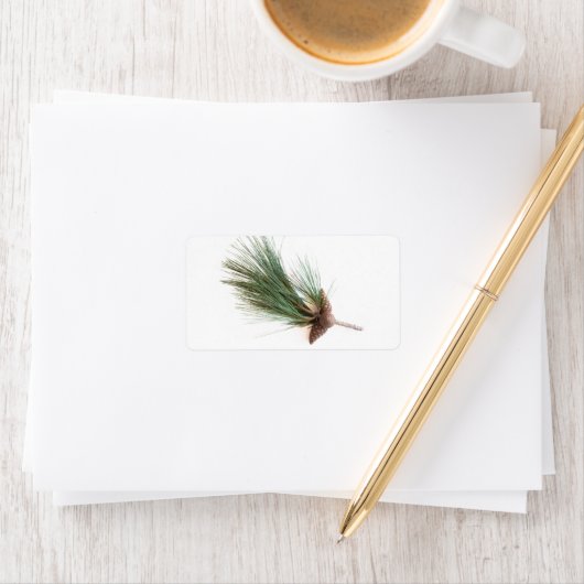 松の枝と円錐 ラベル (インサイチュ)