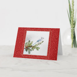 松の枝に止まるブルージェイのクリスマス カード