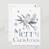 松の枝に白いフクロウ ポストカード (正面/裏面)