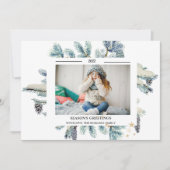 松の枝の写真　季節のご挨 (正面)