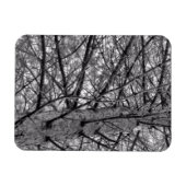 松の枝の方向（白黒） マグネット (横)