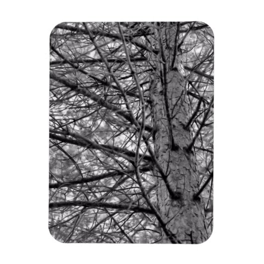 松の枝の方向（白黒） マグネット (縦)