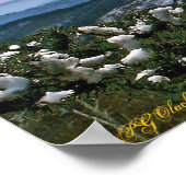 松の枝を通って ポスター (角)