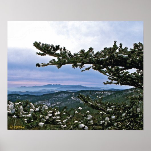 松の枝を通って ポスター (正面)