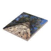 松の枝越しの空 タイル (側面)