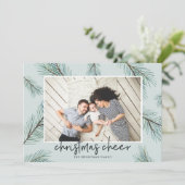 松の枝 |クリスマス応援写真 シーズンカード (スタンド正面)