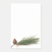 松の枝 ポストイット (正面)