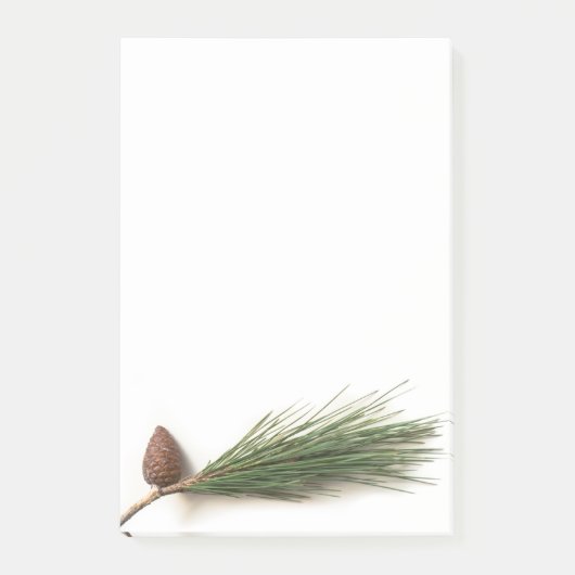 松の枝 ポストイット (正面)