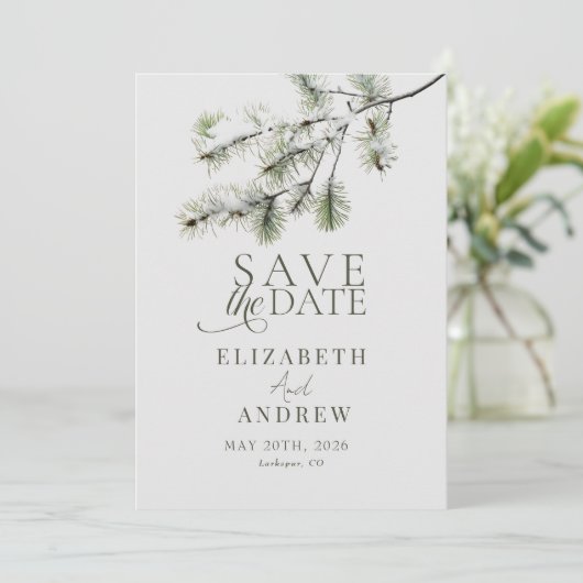 松の枝 | 冬の森のウェディング セーブザデート (スタンド正面)