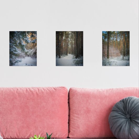 松の森の中の晴れた冬の日 (リビング)