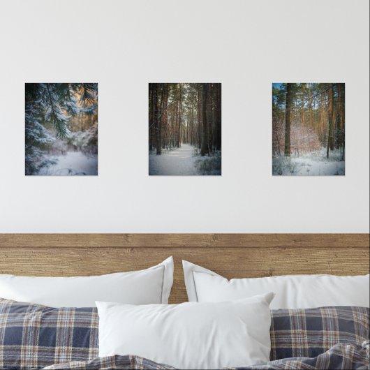 松の森の中の晴れた冬の日 (寝室)