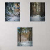 松の森の中の晴れた冬の日 (正面)