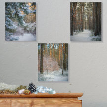 松の森の中の晴れた冬の日