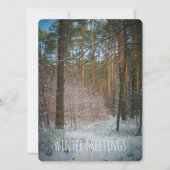 松の森の中の晴れた冬の日 シーズンカード (正面)