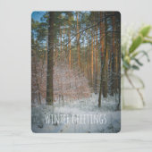 松の森の中の晴れた冬の日 シーズンカード (スタンド正面)