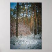 松の森の中の晴れた冬の日 ポスター (正面)