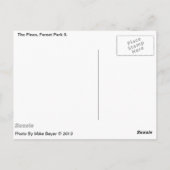 松の森の公園Il。ヴィンテージネオンポストカード ポストカード (裏面)