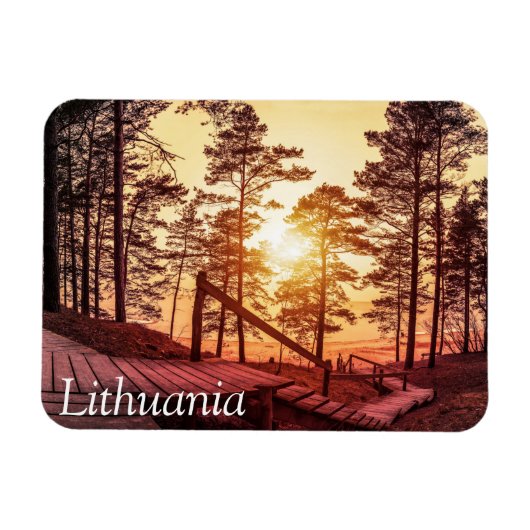 松の森の木道の夕日 マグネット (横)