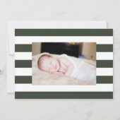 松の森の誕生発表 案内状 (裏面)