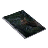 松の森の野生のエルク – Deer Wild Photography ノートブック (右側)