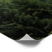 松の森の風景 ポスター (角)