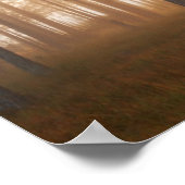 松の森の風景 ポスター (角)