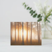 松の森の風景 ポストカード (スタンド正面)