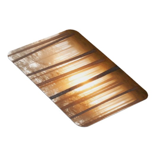 松の森の風景 マグネット (右側)