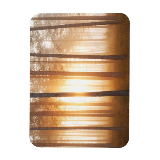 松の森の風景 マグネット (縦)