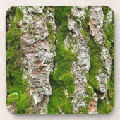松の樹皮にコケがある コースター (正面)