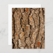 松の樹皮質感 (正面/裏面)