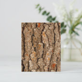 松の樹皮質感 (スタンド正面)