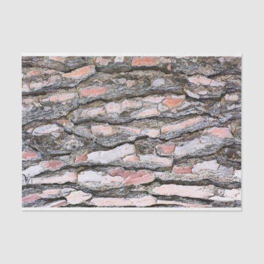 松の樹皮 薄葉紙 (正面)