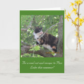 松の湖の木を愛する都猫！ カード (黄色い花)