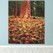 松の球果を持つ旧成長ポンデローサの木 キャンバスプリント (インサイチュ (ウッドフロア))