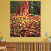 松の球果を持つ旧成長ポンデローサの木 キャンバスプリント (インサイチュ (リビング))