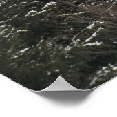 松の緑 ポスター (角)