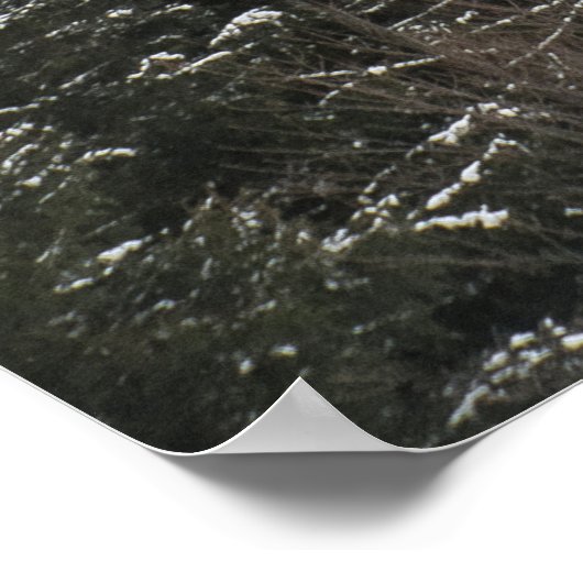 松の緑 ポスター (角)