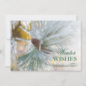 松の葉を氷に包む (正面)