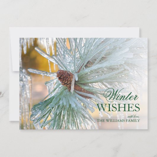 松の葉を氷に包む (正面)